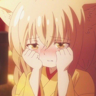 小猫被小龙虾一击必杀